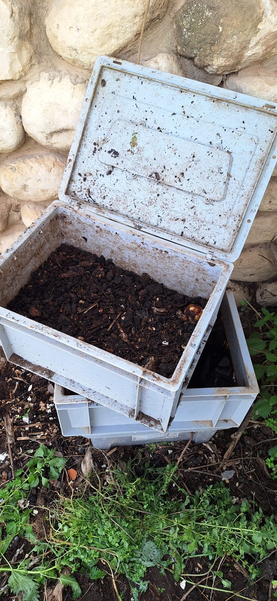 תוצר נוזלי של נגר ההומוס