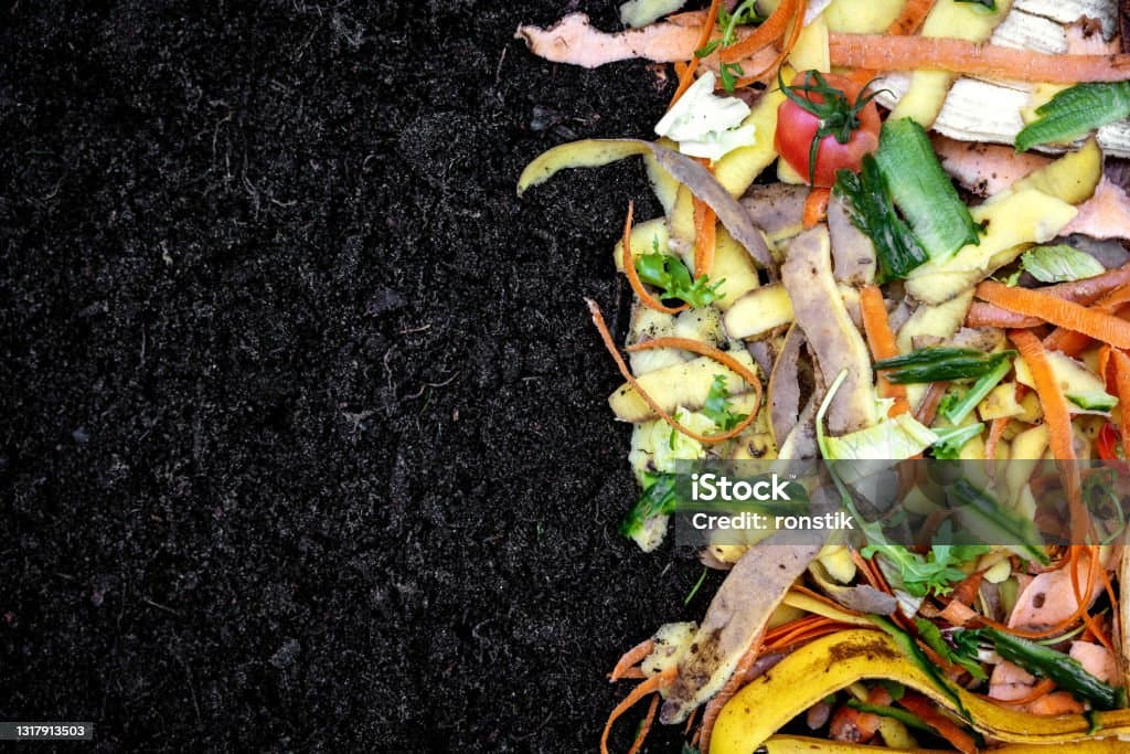 שאריות אורגניות מתווספות לקומפוסט תולעים