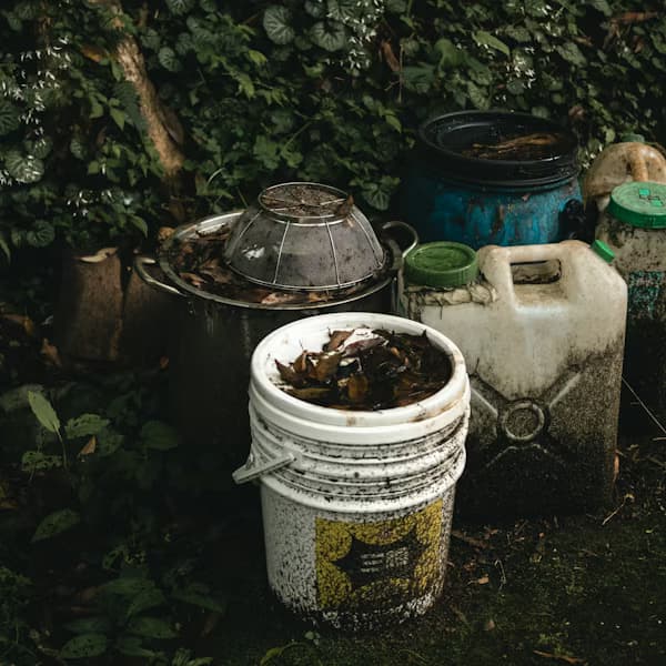 מיכל בתוך מיכל יכול להיות נהדר בתור התחלה